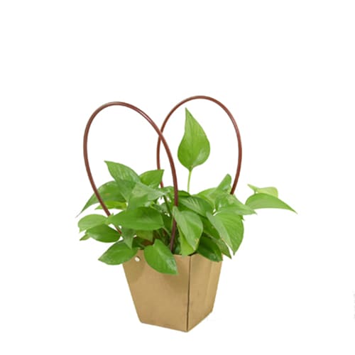 flower-bouquet-bags-with-handle