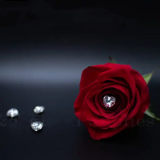 flower-arrangements-supplies