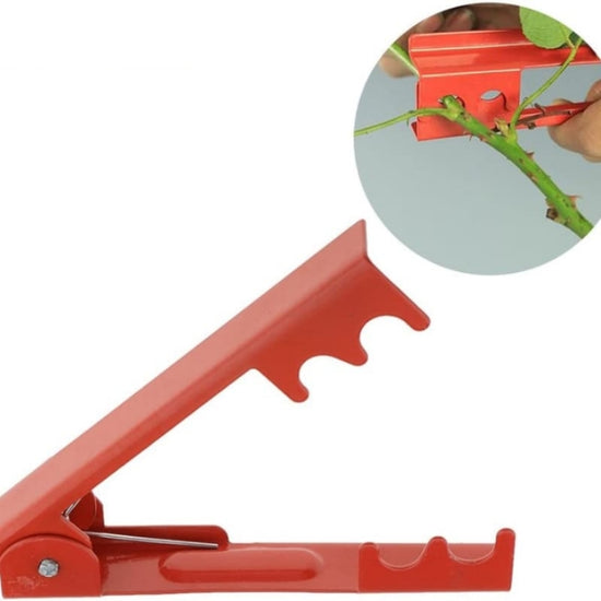 Floral Rose Thorn Stripper.
