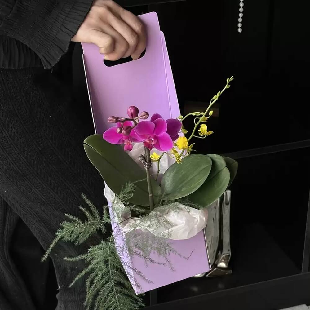 boxes-for-flower-arrangements