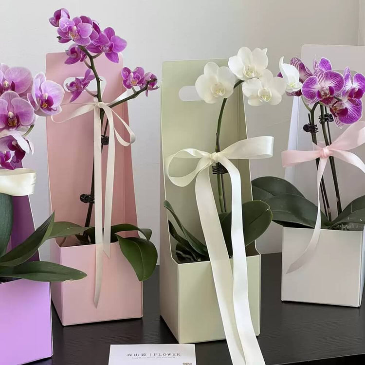 boxes-for-flowers-arrangements