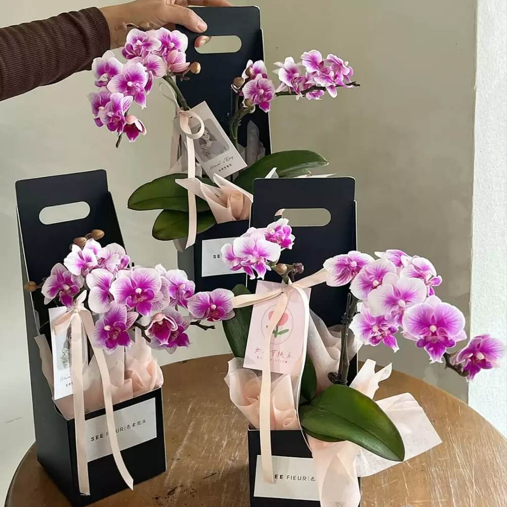 floral-boxes-for-arrangements
