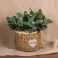 floral-supplies-for-fresh-flowers