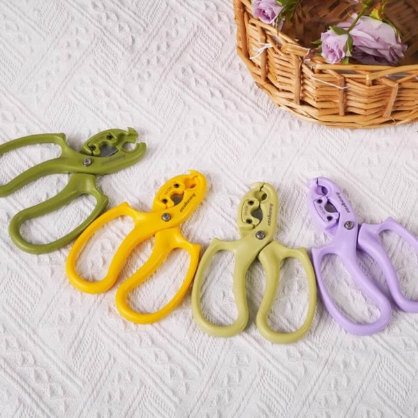 floral-supplies-for-fresh-flowers
