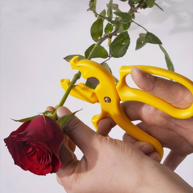 floral-supplies