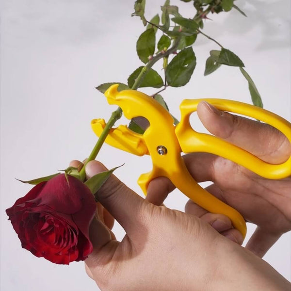 floral-supplies