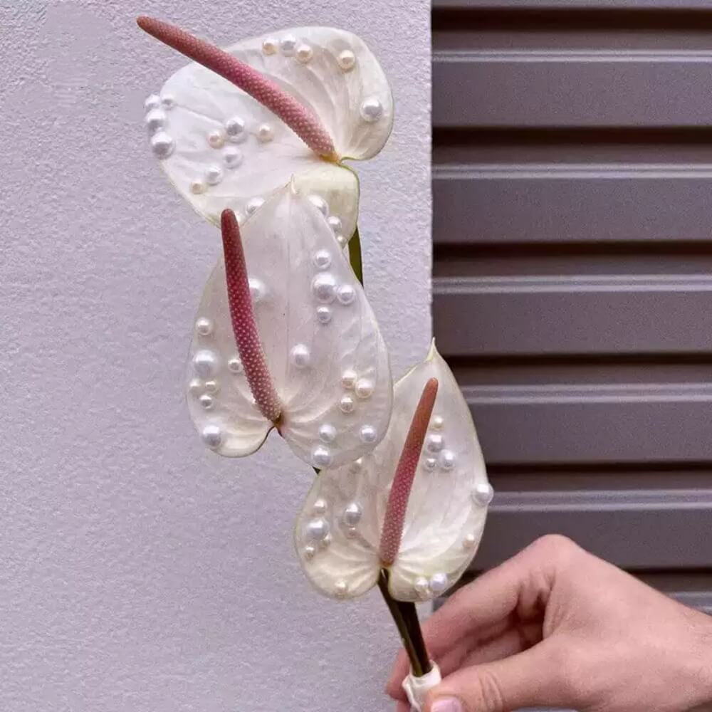 floral-supply-wholesale