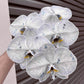    florist-supplies