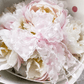 florists-supply