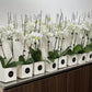 flower-boxes-for-arrangements