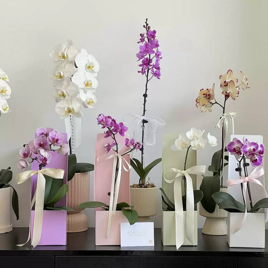 flower-gift-box