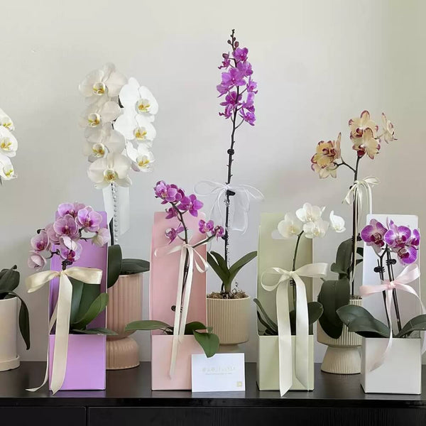 flower-gift-box