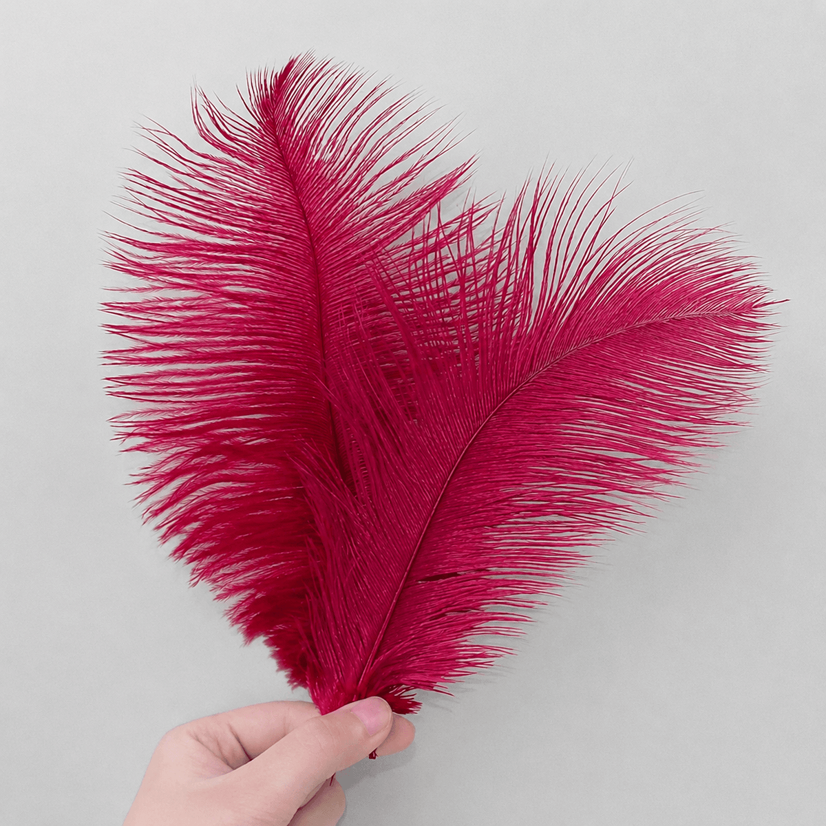 Natural Decorative Feathers Florist Supplies & Floral Supplies for Fresh Flowers, 5 Pcs