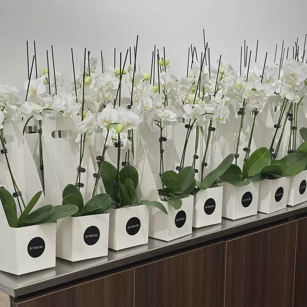 luxury-boxes-for-flowers