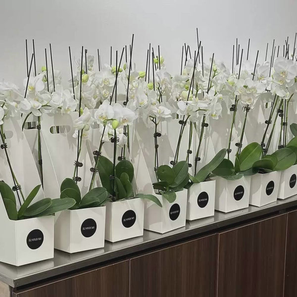luxury-boxes-for-flowers