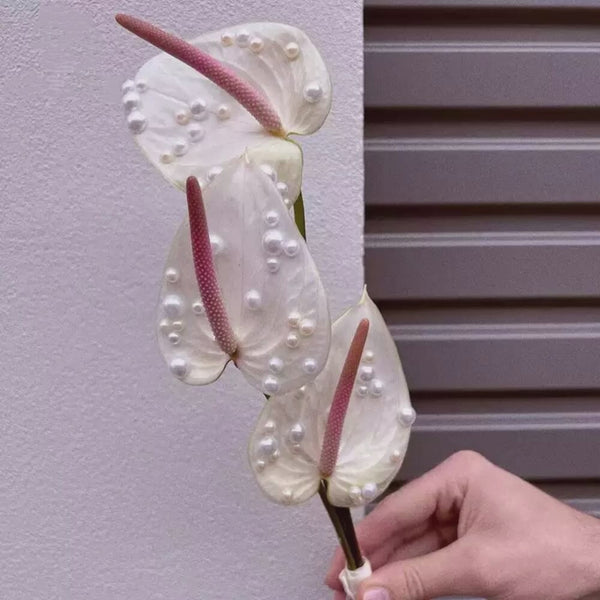 florist-supply