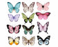 butterfly-picks-for-flower-arrangements