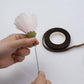   flower-stem